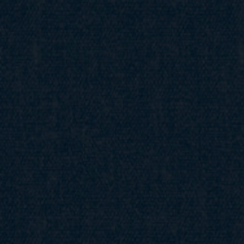 Canvas-svart