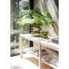 120901_3_miljo