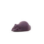 Resting Bear