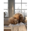 Athena-50--set-5